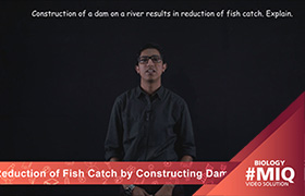 Reduction of fish catch by constructing dam ...