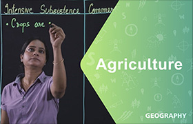 Difference between between intensive subsistence farmin ...
