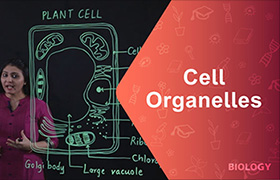 Cell Organelles- Vacuoles 