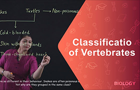 Classification of Vertebrates 