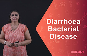 Diarrhoea- Bacterial Disease 
