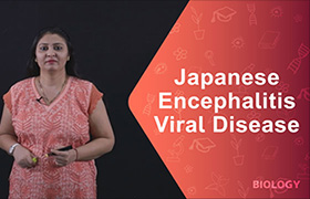 Japanese encephalitis - Viral Disease ...