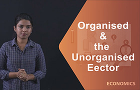 organised and the unorganised sector 