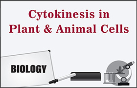 Cytokinesis in Plant and Animal Cells ...