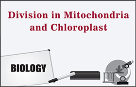 Division in Mitochondria and Chloroplast ...