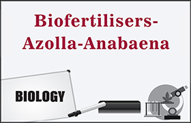Biofertilisers- Azolla-Anabaena 