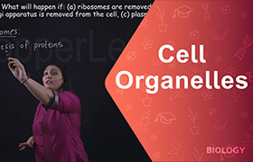 Cell Organelles- Ribosomes, Golgi Apparatus, Plasma mem ...