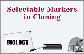 Selectable Markers in Cloning 