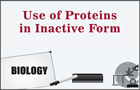 Use of Proteins in Inactive Form 