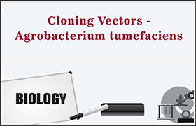 Cloning Vectors- Agrobacterium tumefaciens 