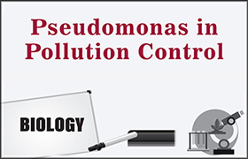 Pseudomonas in Pollution Control 