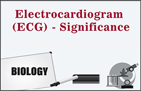 Electrocardiogram (ECG) - Significance 