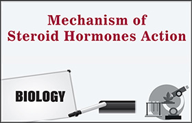 Mechanism of Steroid Hormones Action 
