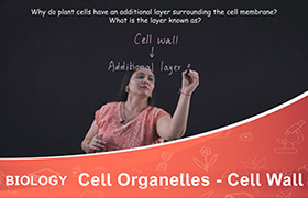 Cell Organelles - Cell Wall 