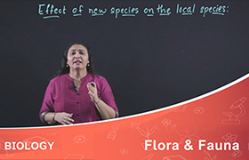 Flora and Fauna 