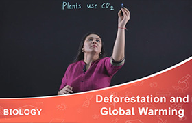 Deforestation and Global Warming 