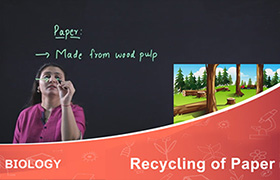 Recycling of Paper 