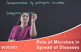 Role of Microbes in Spread of Diseases 