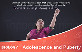 Adolescence and Puberty 