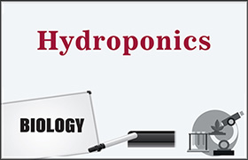 Hydroponics 