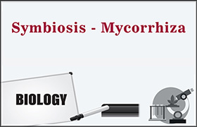 Symbiosis - Mycorrhiza 