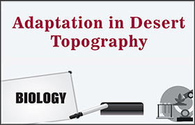 Adaptation in Desert Topography 