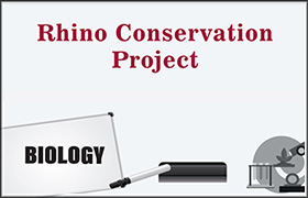 Rhino Conservation Project 