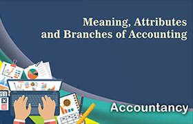 Meaning, Attributes and Branches of Accounting ...