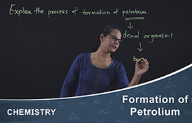 Formation of petrolium 