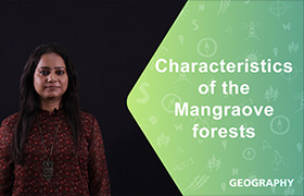 Characteristics of the Mangraove forests ...