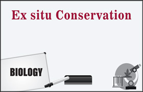 Ex situ Conservation 